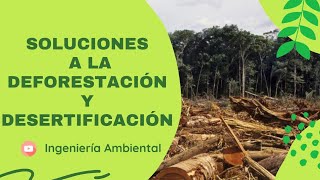 👷🏻‍♂️ Acciones para evitar la deforestación [upl. by Scevo907]