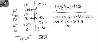 Solving An Eqilibrium Problem [upl. by Dale]