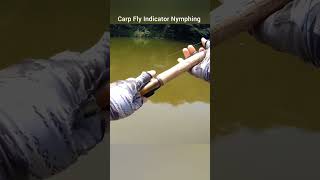 Carp Fly Fishing  Indicator Nymphing [upl. by Neeleuqcaj]