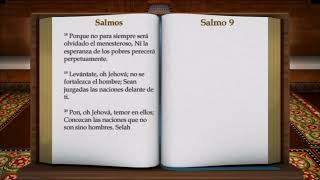 Salmos Libro Completo Biblia Hablada Reina Valera 1960 [upl. by Crystie156]