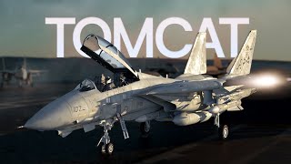 Why was the F14 Scrapped  Grumman F14 Tomcat [upl. by Irb]