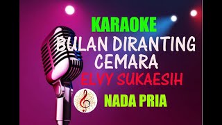 Karaoke Bulan Diranting Cemara Elvy SukaesihNada Pria [upl. by Ycnaffit]