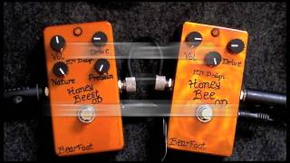 Bearfoot FX Honey Beest Overdrive [upl. by Deonne]