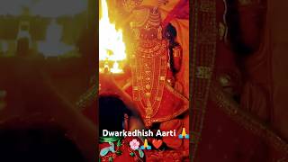 Shree Dwarkadhish Aarti Darshan 🙏🌸❤🙏🌸shortvideo 1millionviews dwarka dwarkadhishaarti govindam [upl. by Dearborn777]