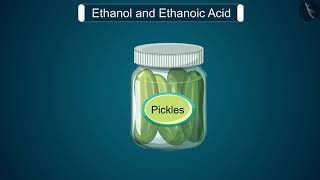 Ethanol and Ethanoic Acid  Part 11  English  Class 10 [upl. by Eradis647]