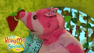 Roly Mo Show  Special Guest For Tea  HD  Cartoons for Children  The Fimbles amp Roly Mo Show [upl. by Cinomod]