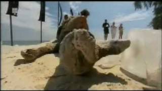 expeditie robinson 2005 aflevering 11 part 3 [upl. by Thin730]