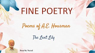 Fine Poetry  Poems of AE Housman  The Lent Lily Read by Narad [upl. by Atekehs305]