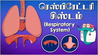 ரெஸ்பிரேட்டரி சிஸ்டம்  The Respiratory System  Dr Binocs Tamil  Kids Educational Video in Tamil [upl. by Alliuqat]