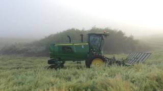 Swathing Hunter Forage Brassica 2016 [upl. by Hedwiga876]