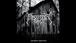 Forgotten Tomb  Springtime Depression Cover [upl. by Emmey527]