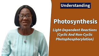 Photosynthesis LightDependent Reactions Cyclic And NonCyclic Photophosphorylation [upl. by Eimiaj819]