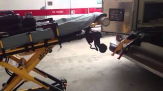 Stryker PowerLoad Stretcher [upl. by Efinnej]