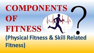 COMPONENTS of FITNESS video04 [upl. by Crutcher]