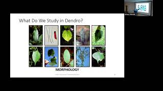 Intro to Dendrology [upl. by Aklim244]