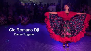 Danse Tzigane  Teaser  Cie Romano Dji [upl. by Harewood]