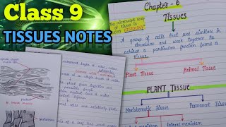 Class 9 Science Biology Chapter 2  Tissues Notes  New NCERT 202324  Excellent work [upl. by Nayd280]