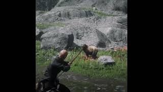 Grizzly Bear Hunt Goes Awry rdr2 rdr2online grizzlybear bowandarrow reddeadonline [upl. by Assilem]