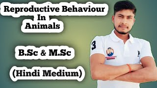 Reproductive Behaviour In AnimalsBScamp MSc  Full Complete Question Hindi Medium [upl. by Feune]