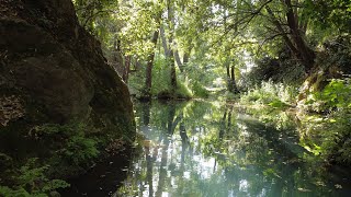 Rencontre avec des Esprits de la Nature [upl. by Haynor]