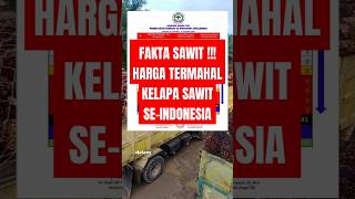 Riau  HARGA KELAPA SAWIT TERTINGGI SEINDONESIA [upl. by Cresida]