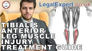 Tibialis Anterior Leg Muscle Injury Treatment Guide  2019  UK [upl. by Nnylodnewg311]