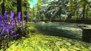 This is Skyrim w graphical mods Mods from Skyrim Steam Workshop [upl. by Edra]