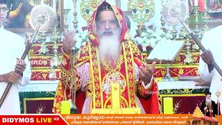 Holy Qurbana by HH Baselios Marthoma Paulose II  Catholicos of the East  Didymos Live [upl. by Winshell89]