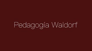 Pedagogía Waldorf ¿qué es y cómo funciona [upl. by Silin]