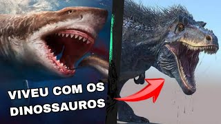 O Megalodon Viveu com os DINOSSAUROS [upl. by Eniamrahs]