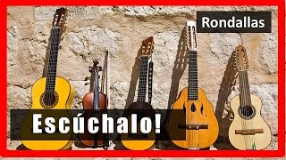 A Puro dolor  Rondalla Universo Romantico [upl. by Kazim841]