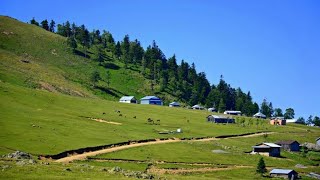 Gezelim Görelim  Düzce Kardüz Yaylası [upl. by Lev]