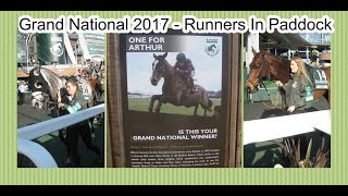 Grand National 2017  Runners In The Paddock [upl. by Hpesojnhoj]