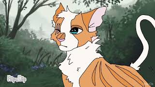 Brighthearts tragedysvtfoe warriorcats [upl. by Collyer713]