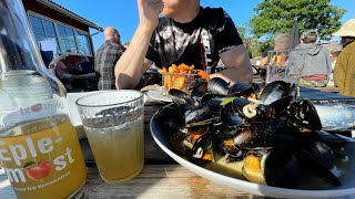 Beautiful summer day in Norway  Eating blåskjell blue mussels in Larvik Norway  Seilerhytta [upl. by Eterg459]