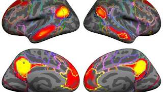 YeoetalJNeurophysiol2011PrecuneusPCCavi [upl. by Clabo525]