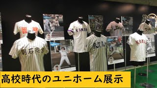 バファローズ高校ユニホーム展示 Bs2024 BsGravity BsGirls avex ORIX オリックスバファローズ オリックスプロ野球 NPB オリ姫 京セラドーム大阪 [upl. by Hannavahs707]