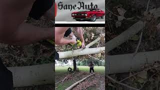 Ryobi brushless cordless reciprocating saw demonstration [upl. by Pierce]