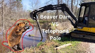 Beaver Dam Removal with Excavator and Telephone Pole  Genius Idea to Remove From Culvert  PART 2 [upl. by Castara]