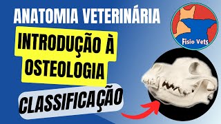 Osteologia Veterinária  Introdução [upl. by Ispep]