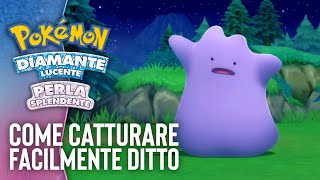 Come trovare facilmente DITTO in Pokémon Diamante Lucente e Perla Splendente [upl. by Attirb]