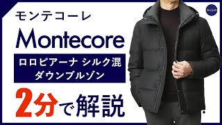 【24年秋冬新作】Montecore ロロピアーナ シルク混 ダウンブルゾン 2分で分かる ポイント解説！ [upl. by Morry]