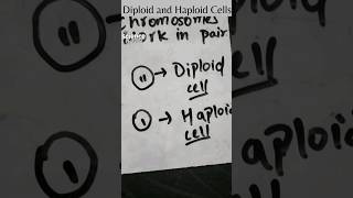 Diploid and Haploid Cells [upl. by Edya952]