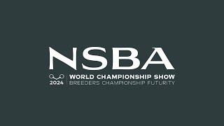 2024 NSBA World Show Saturday August 10 Mustang Arena [upl. by Nasah11]