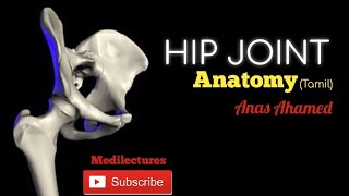 Hip Joint anatomy clearly explained Tamil medilecturestamil [upl. by Bobette]