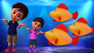 Machli Jal Ki Rani Hai  Hindi Rhymes  मछली जल की रानी है  Kids Tv India  Hindi Nursery Rhymes [upl. by Shear]