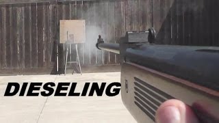 Pellet Rifle DIESELING  Good Bad or Ugly [upl. by Ecinaj]