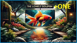 LIVE POND CAM FROM LONDON UK  FEATURING THE LONELY GOLDFISH  ONE [upl. by Alviani722]