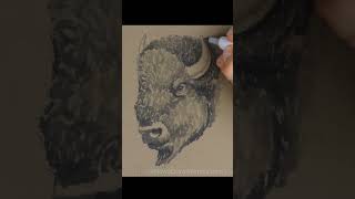 Bison Sketch Pen and Markers [upl. by Rheba]