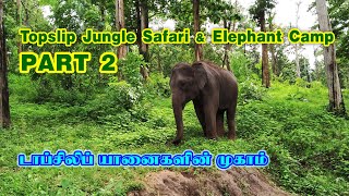 TOPSLIP JUNGLE SAFARI PART 2  Anamalai Tiger Reserve  Nature lover [upl. by Ecenahs364]